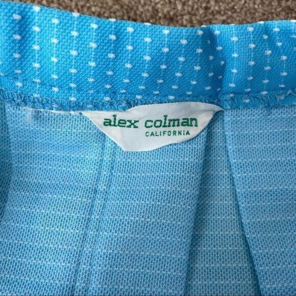 Alex Colman Vintage Blue Pleated Skirt - Picture 5 of 5